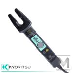 Kyoritsu-kew2001_001