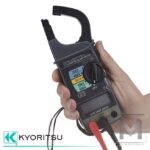 Kyoritsu-kew2007A_001